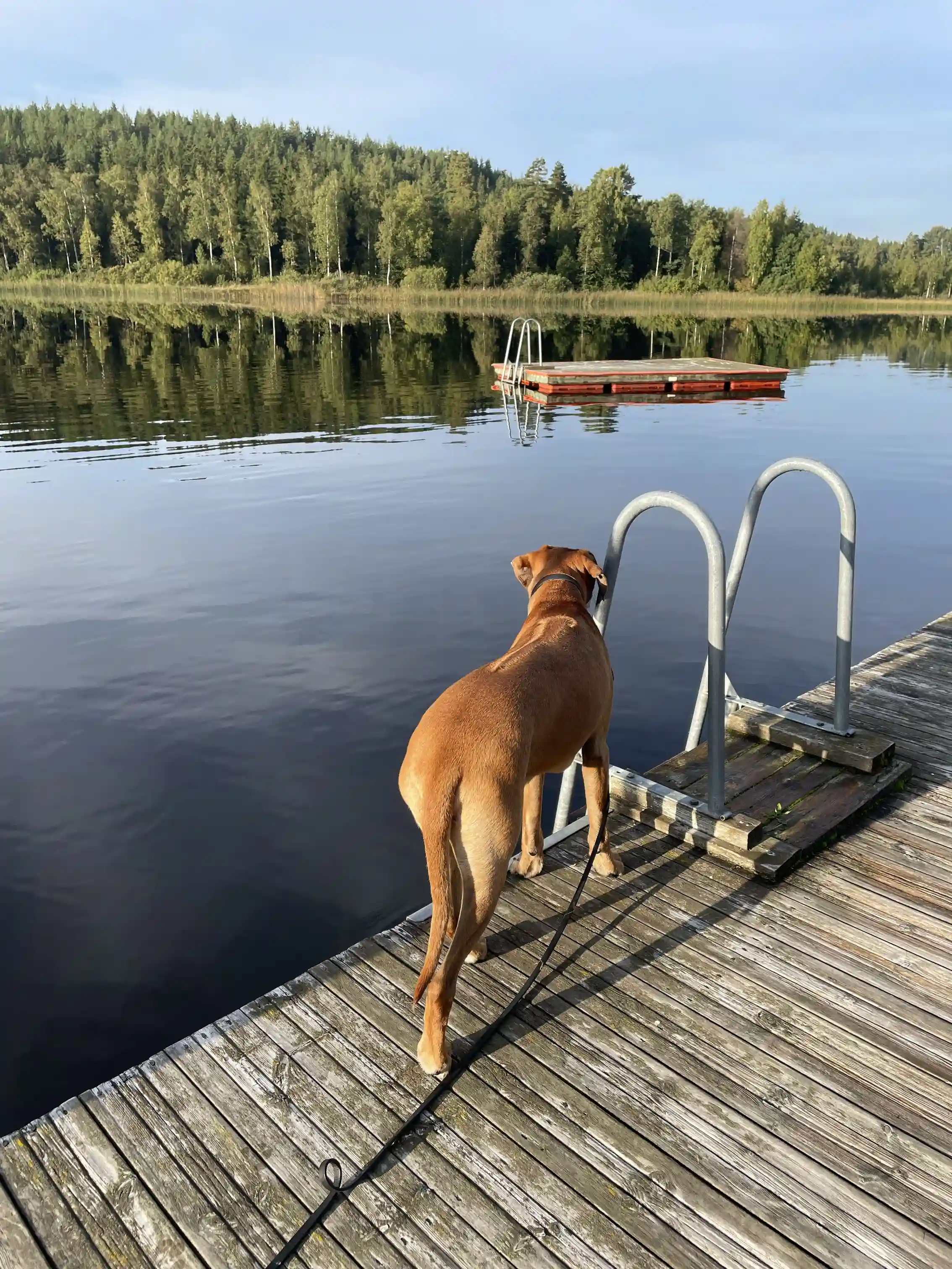 Upplev naturens magi vid Amundebo Södergård - där äventyr möter avkoppling! Perfekt för alla naturälskare!
