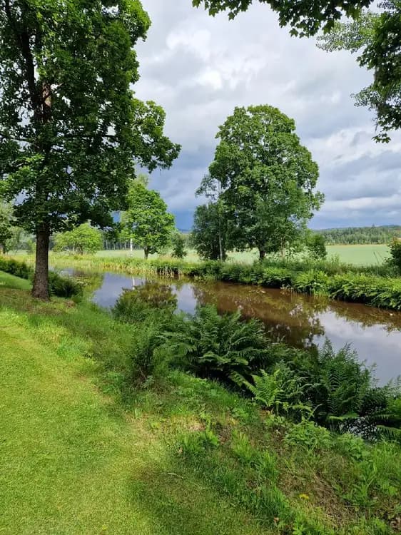 En naturskön bild av Badsta Camping med grönskande träd och gräs vid en vacker vattenspegel under en klar blå himmel.