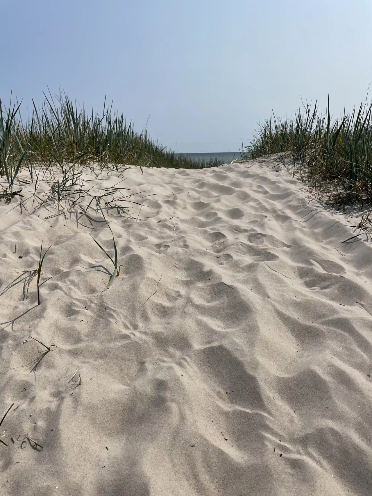Bild av Sudersand Resort: en vacker sandstrand omgiven av naturlig miljö med sanddyner och vegetation, idealisk för strandbesökare och naturälskare.