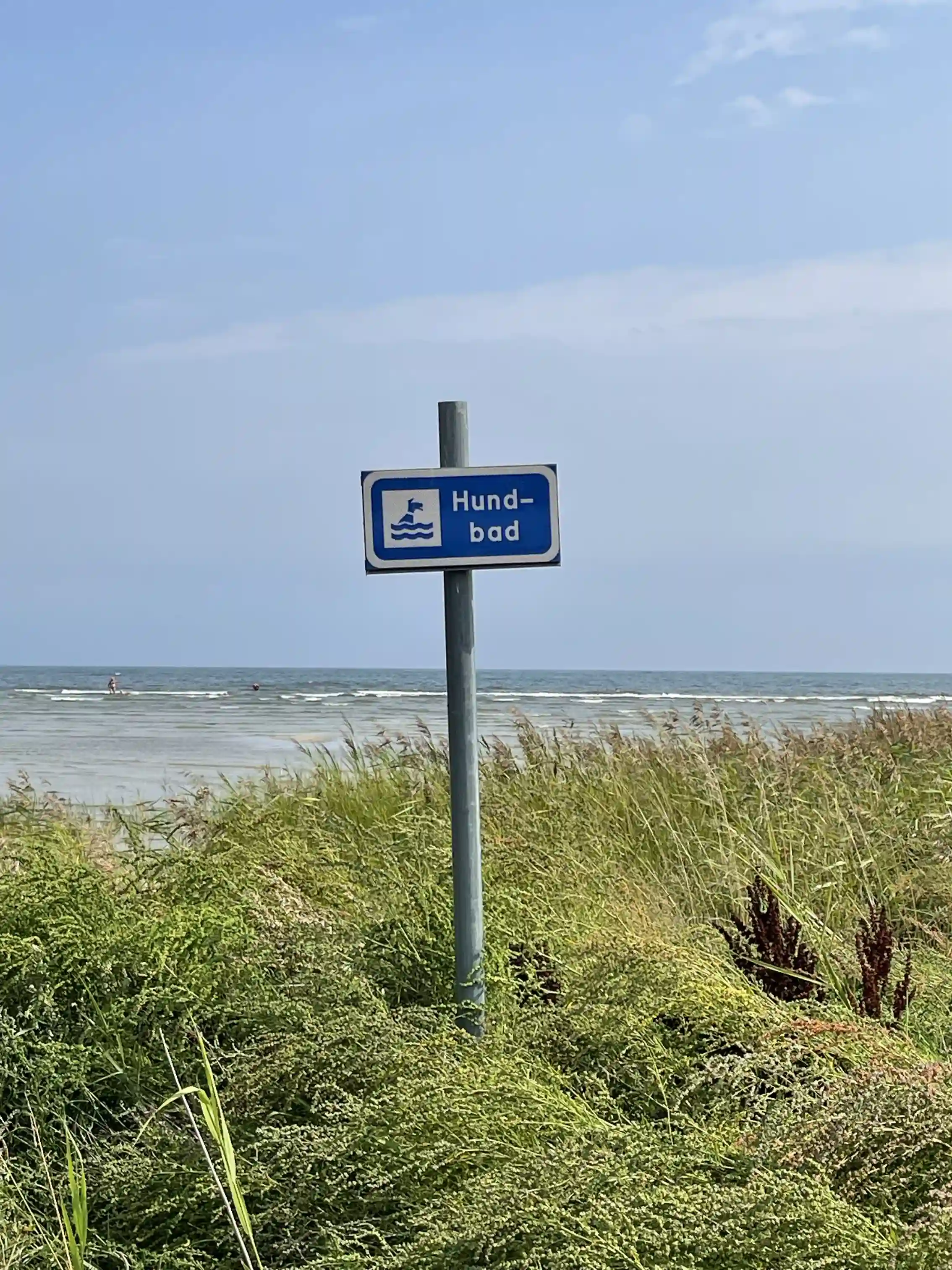 Bild av en skylt vid Wikegårds semesterby och ställplatscamping. Skylten står omgiven av gröna gräsmarker med buskvegetation i bakgrunden. Det är en klar dag vid kusten, vilket antyds av det öppna landskapet.