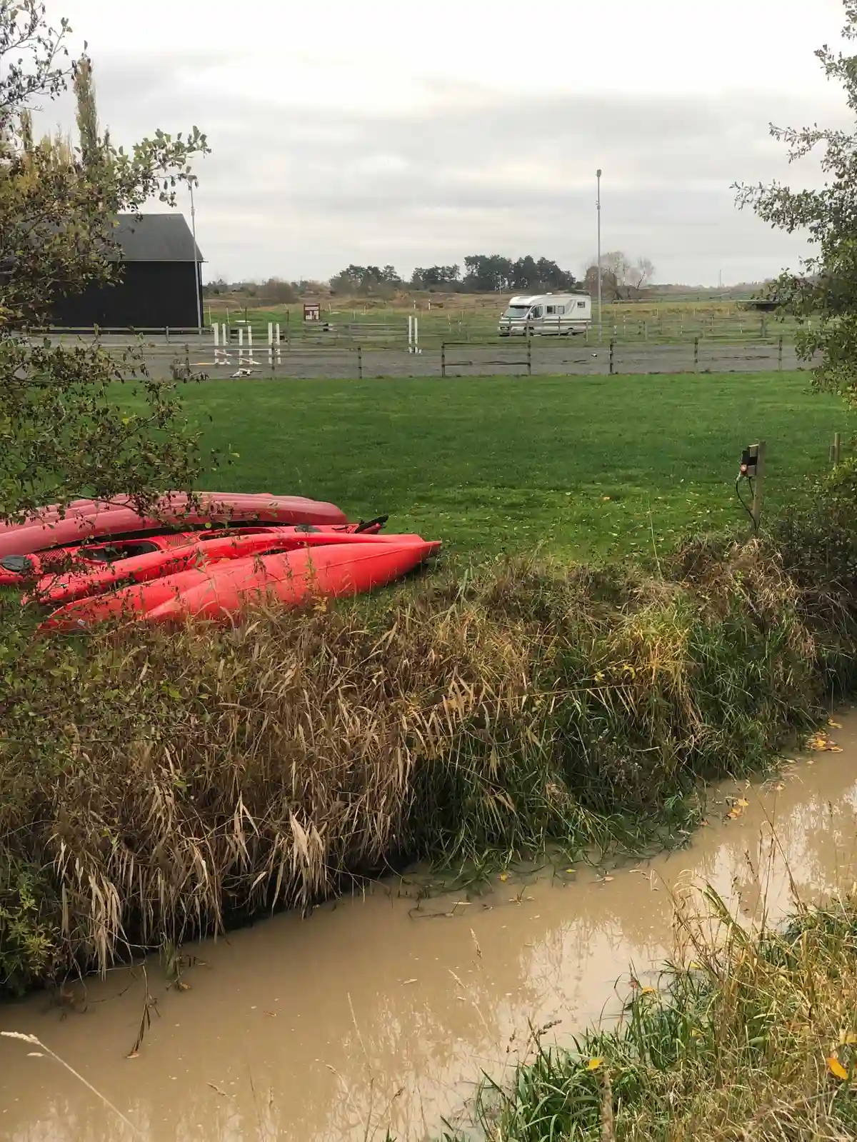 En lugn våtmark med en kajak i förgrunden omgiven av grön vegetation, idealisk för rekreation och paddelsport.