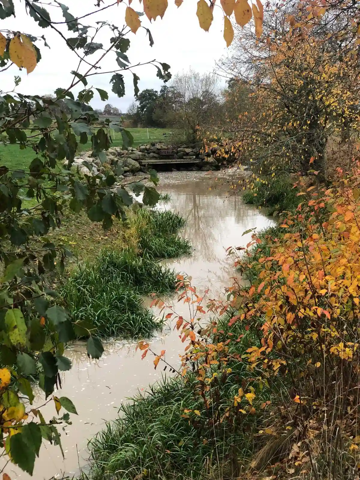 En naturskön vy över Kedumsvik ställplats, med en stilla vattenspegel omgiven av frodig grönska och tät vegetation, vilket ger en lugn och avkopplande atmosfär.