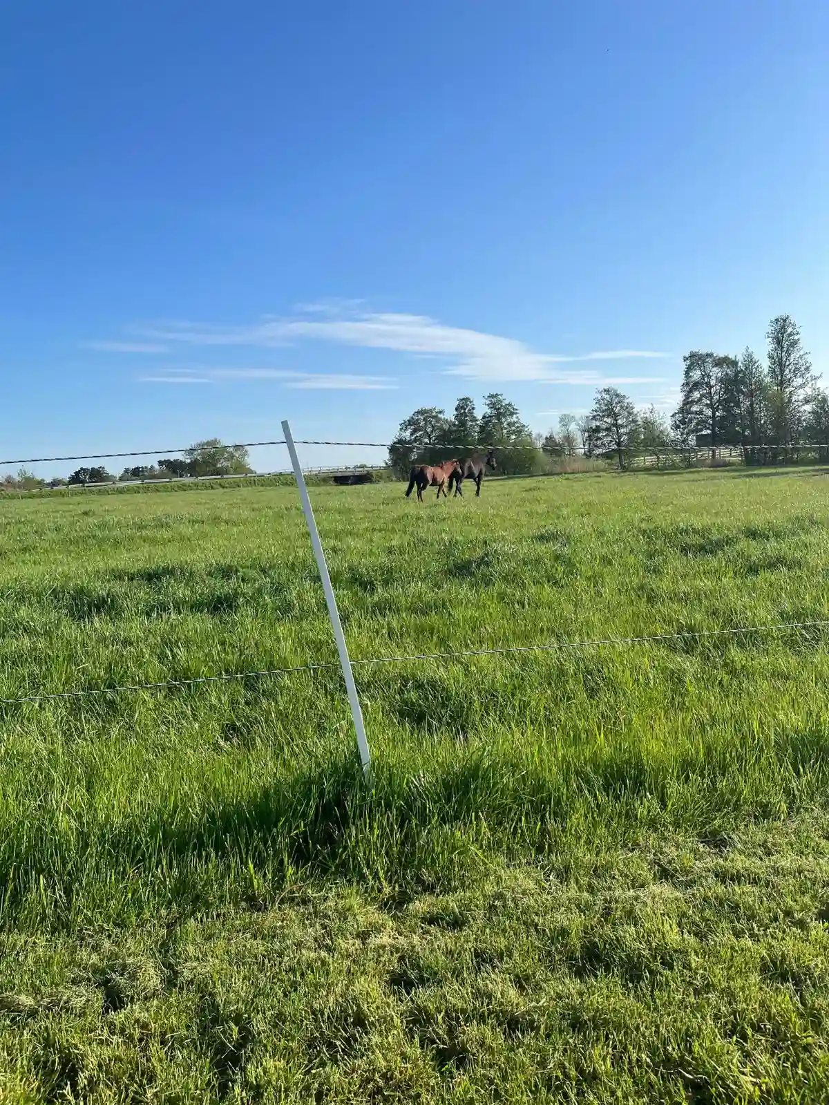 En vidsträckt grön äng med kortklippt gräs som sträcker sig bort mot horisonten, omgiven av ett lantligt landskap.