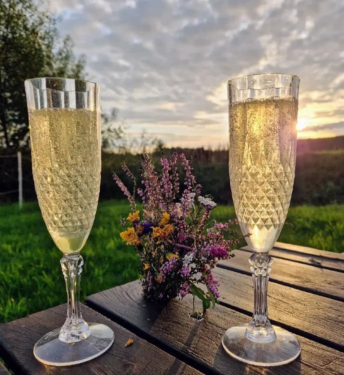 Bild av ett elegant uppdukat bord på Kedumsvik ställplats med glasföremål som vinglas och dryckesglas, lämpliga för alkoholhaltiga drycker.