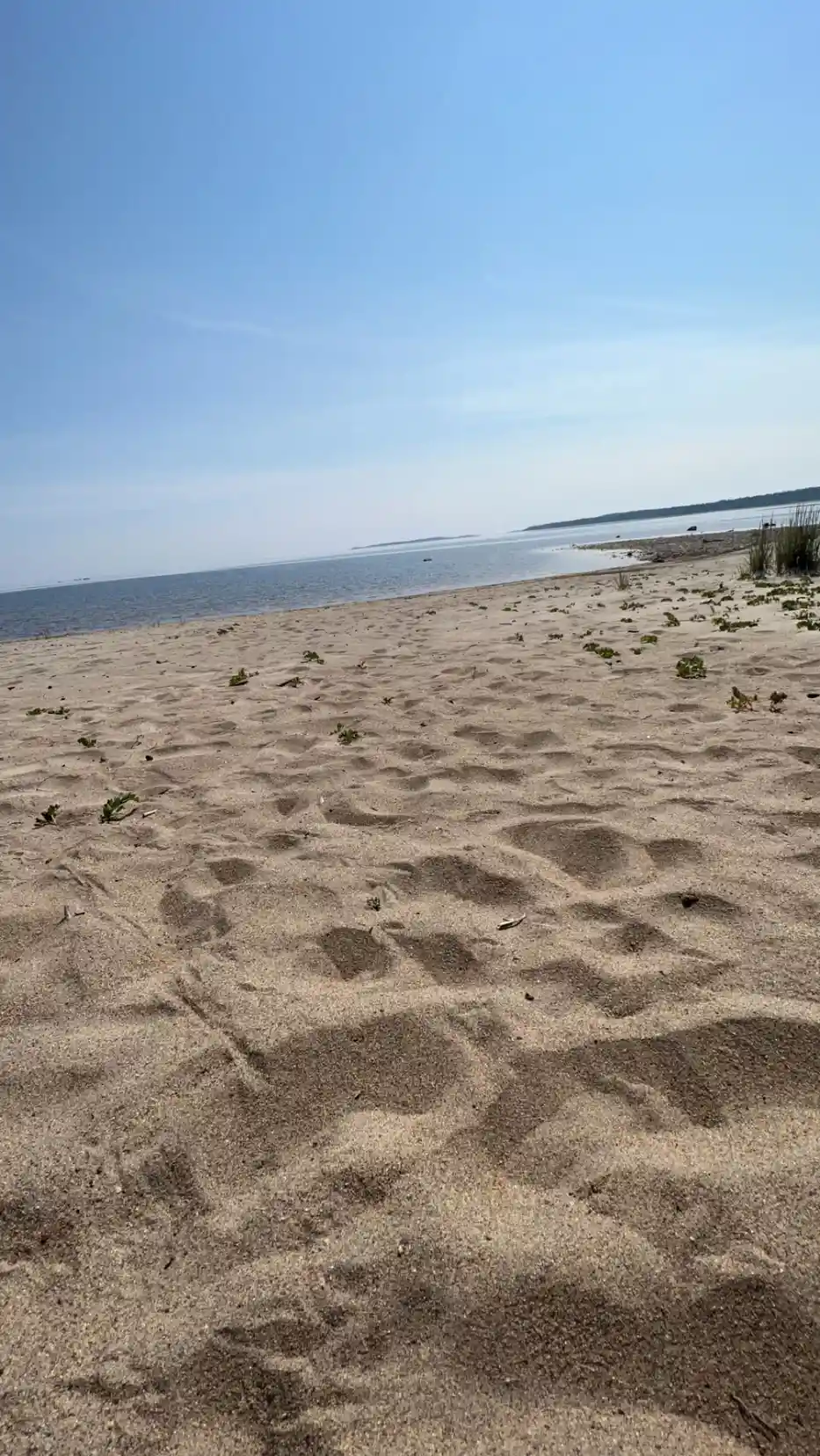En solig dag på Sörfjärdens camping med vy över en gyllene sandstrand och en klarblå himmel vid kusten.
