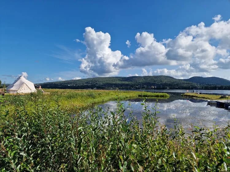 Njut av lugnet vid Överhörnäs camping, perfekt för naturälskare vid Själevadsfjärden, bara 9 km från Örnsköldsvik.