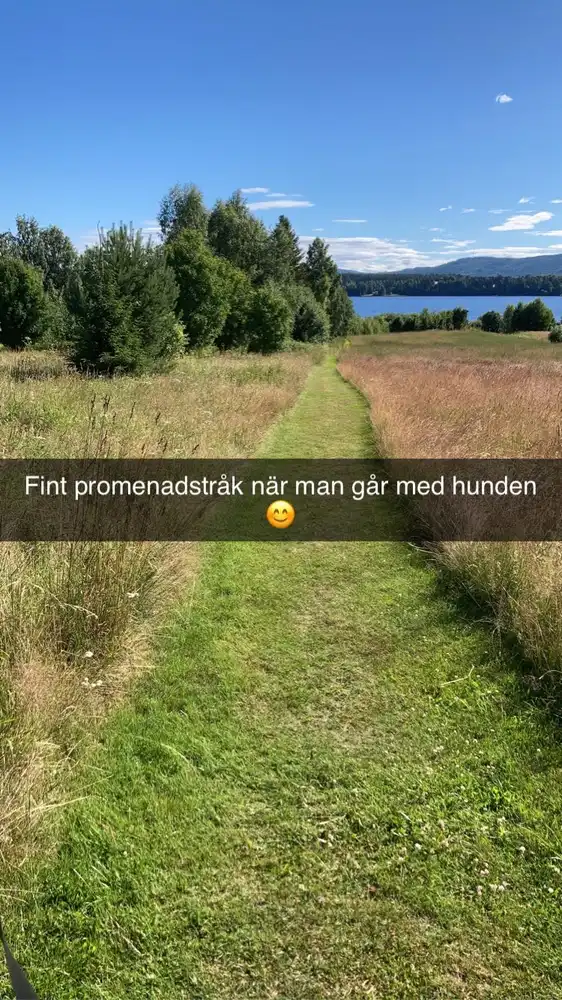 En vandringsstig vid Västanviksbadets camping i Leksand, fångad i skymningsljus där en person syns promenera längs stigen. Omkringliggande träd och natur förstärker den fridfulla kvällsstämningen.