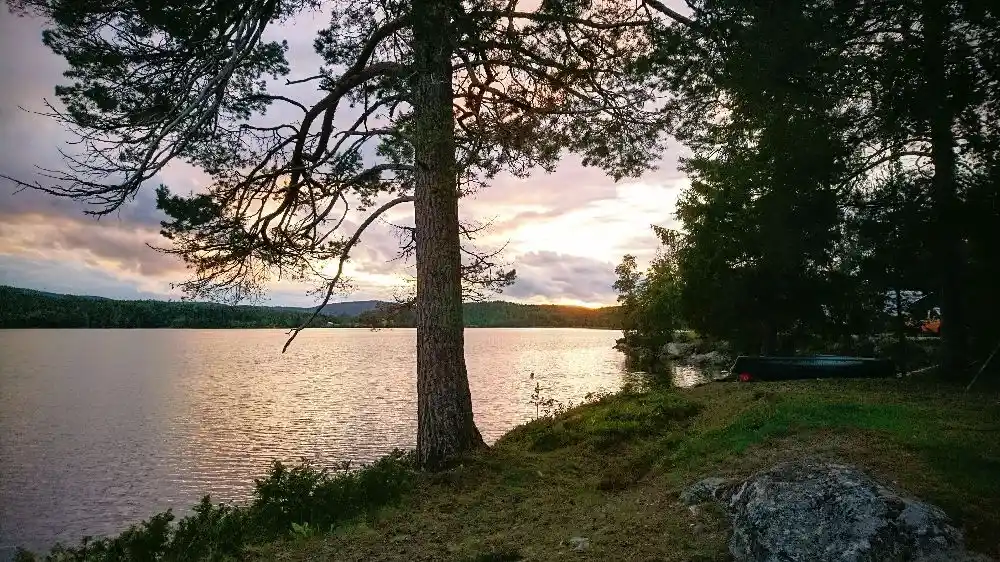 Upptäck Snibbens Camping vid Höga Kusten – en avkopplande oas med äventyr och naturskön utsikt för hela familjen! 🌲🏞️