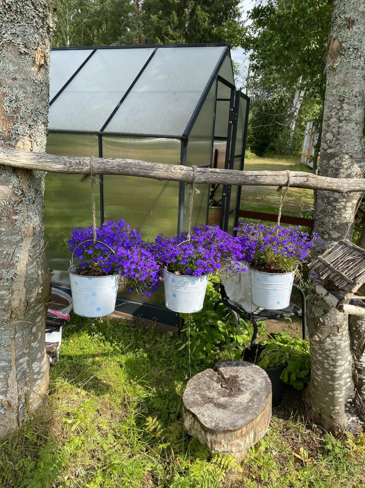En grönskande campingmiljö vid Lesjöbyns camping med blomkrukor och frodig trädgårdslandskap.