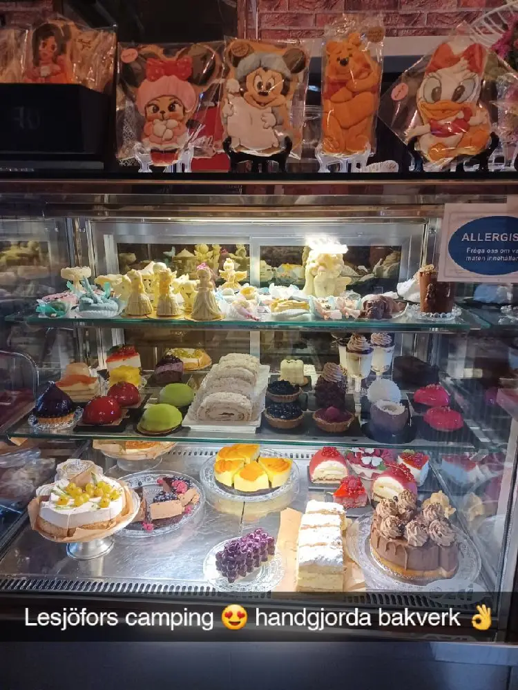 Njut av lugn och äventyr på natursköna Lesjöbyns Camping med boende för alla och en härlig strandnära plats.