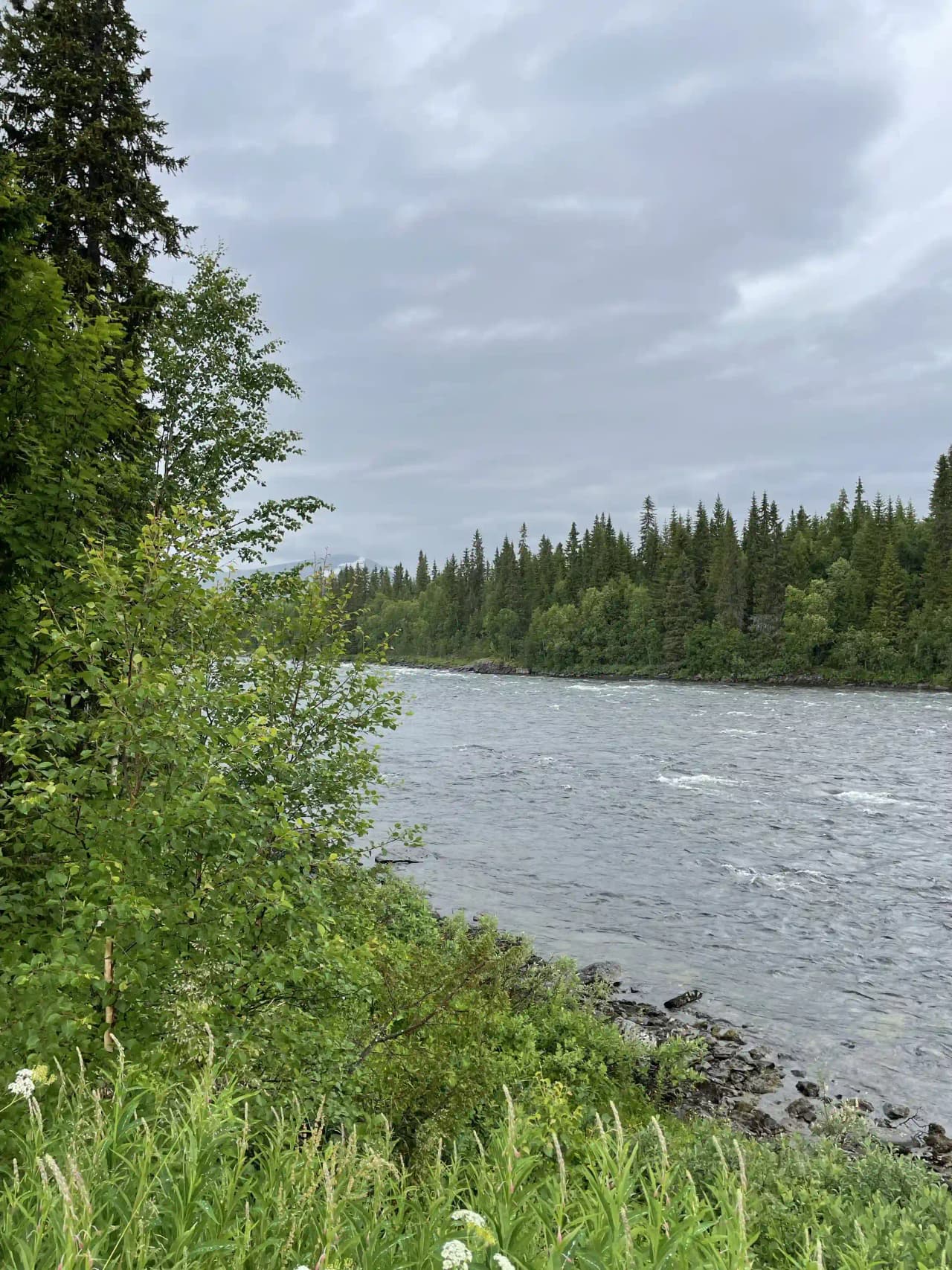 En naturskön vy över en lugn vattenyta omgiven av grönskande växtlighet vid Tärnaby Camping.