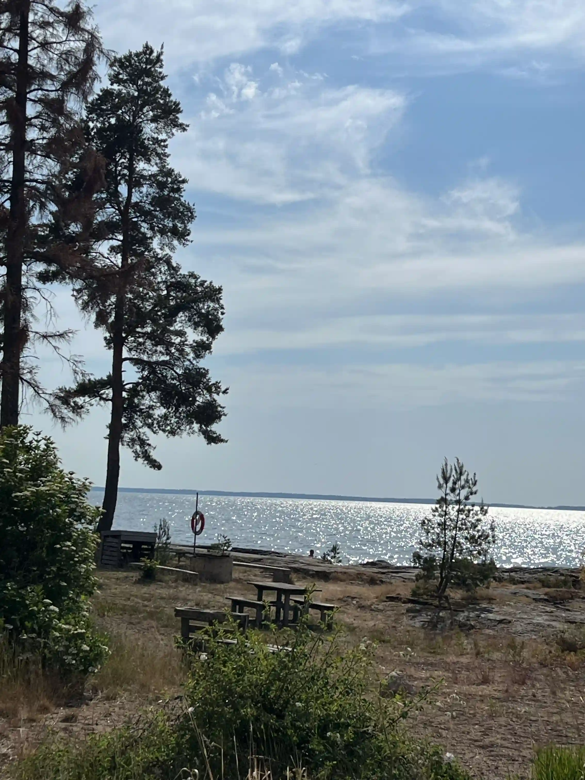 En somrig kustbild vid Askeviks camping & stugor med en lugn havsvy, strand och en bänk vid stranden för avkoppling i naturen.