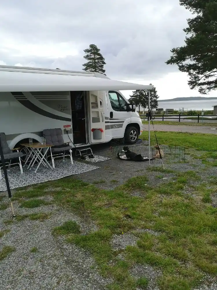 Gullviks Havsbad: En fridfull campingpärla vid Höga Kusten med stränder, äventyr och oförglömliga minnen för hela familjen.