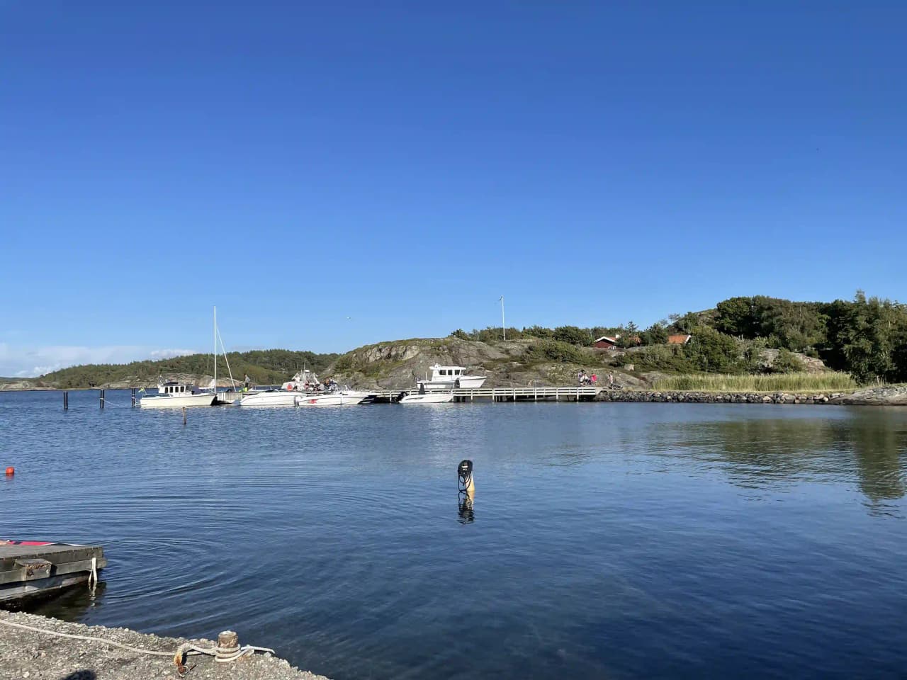 En solig dag vid Malö Camping med båtar förtöjda vid en lugn vattenyta. Kustlinjen syns i bakgrunden och ger en fridfull atmosfär av vatten och natur.