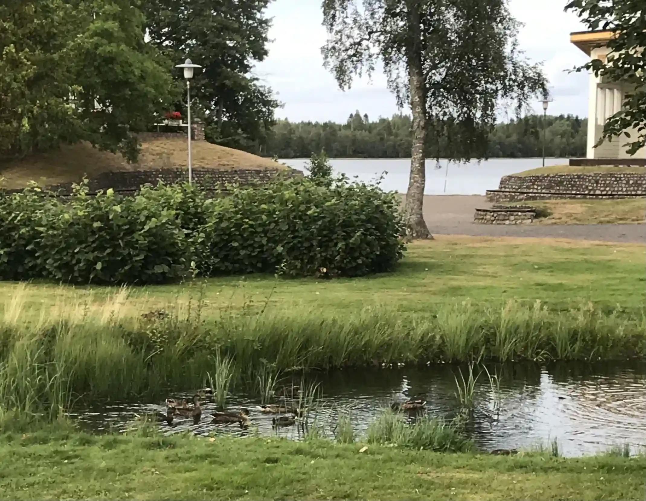 En naturskön vy över Sjöparkens camping med frodiga träd och växter omgivet av en lugn damm och välskött parklandskap.