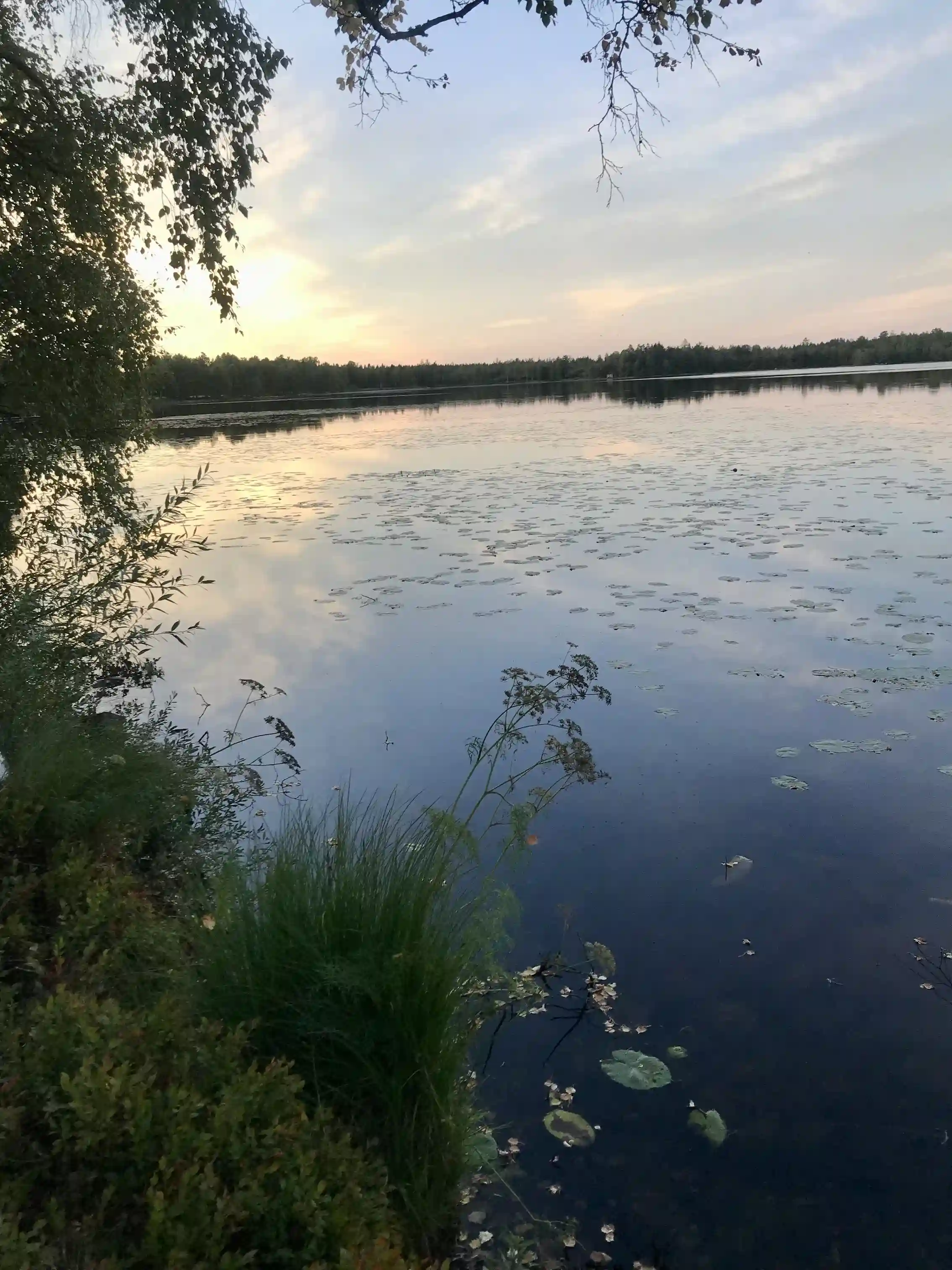 En naturskön sjö med reflekterande vattenyta omgiven av grönskande landskap, typiskt för omgivningarna vid sjöparkens camping.