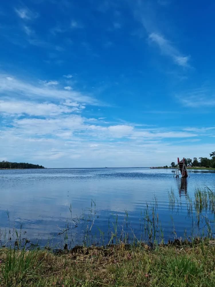 En solig dag vid Skeppeviks camping med klarblå himmel och några vita moln. I förgrunden syns en kustlinje med vatten och träd i bakgrunden.