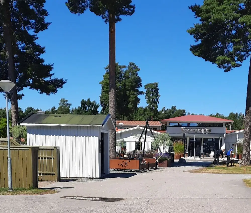Bild av en campingplats med träd och växter som kantar en asfalterad väg. Det finns flera palmträd och platsen är skuggad. I bakgrunden syns ett öppet utrymme med vad som verkar vara en uppfart eller gemensam yta.