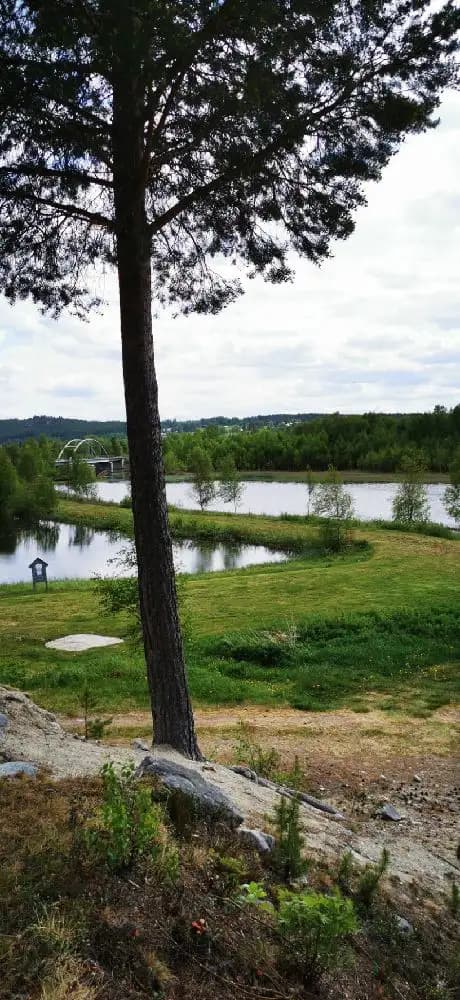 Bild av Sonfjällscampen med en vidsträckt vy över sjön och omgivande vildmark. Himlen är molnig och skapar en lugn atmosfär.