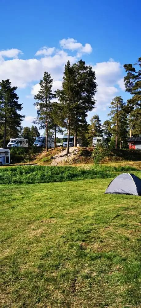 En grön campingplats med tält och husvagnar omgiven av gräs och växter på Sonfjällscampen, en plats för rekreation och utomhusaktiviteter.