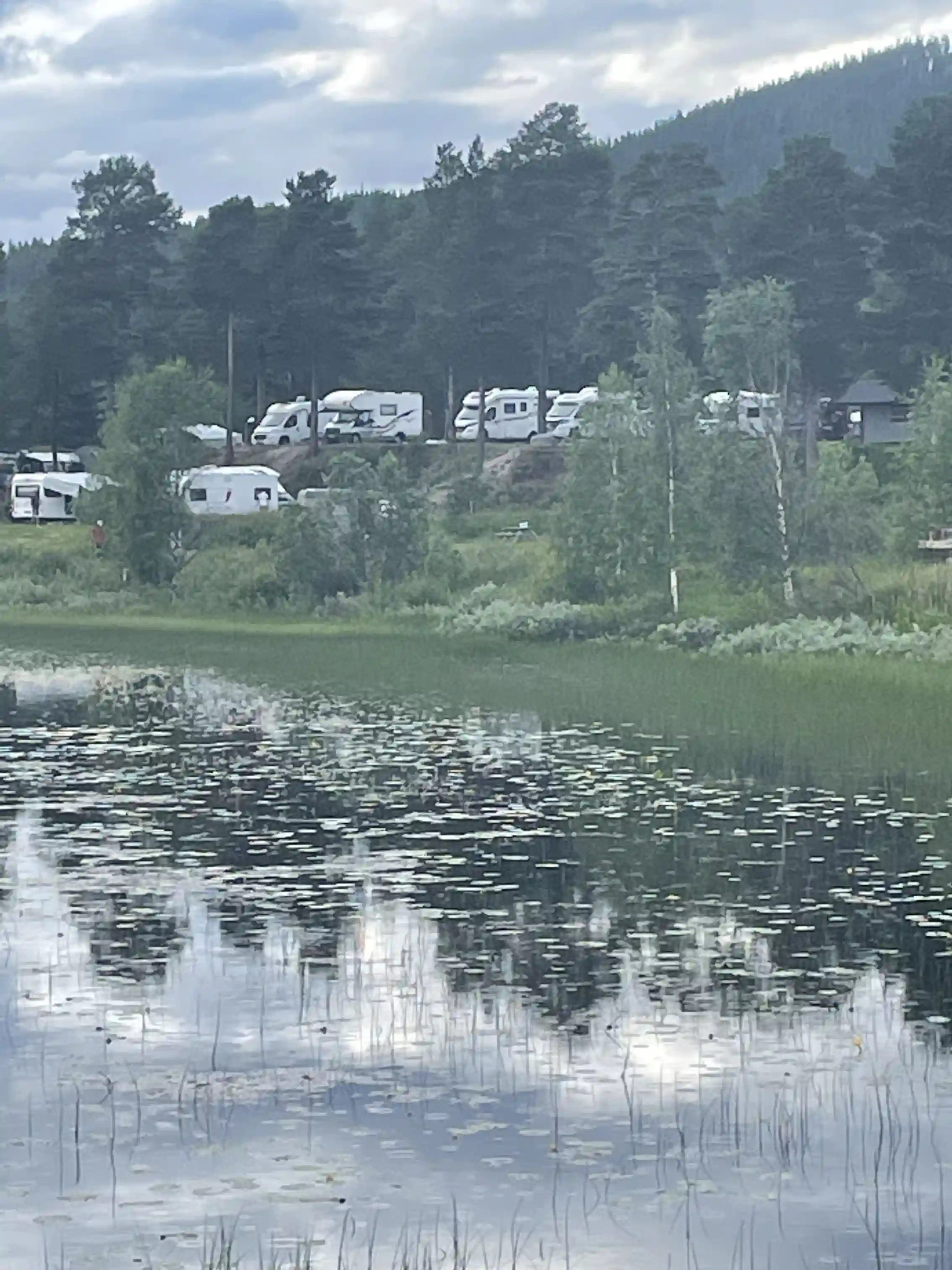 En lugn sjö med klart vatten omgiven av grönskande träd och växter. I bakgrunden syns ett vackert skogslandskap och mjuka kullar, under en klar himmel.