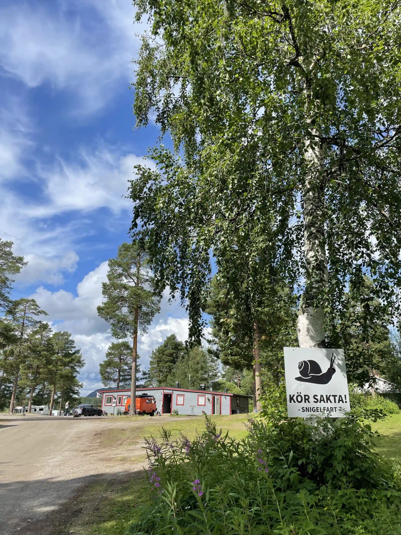 En lummig park med grönskande träd och skuggiga gräsytor på Sonfjällscampen.