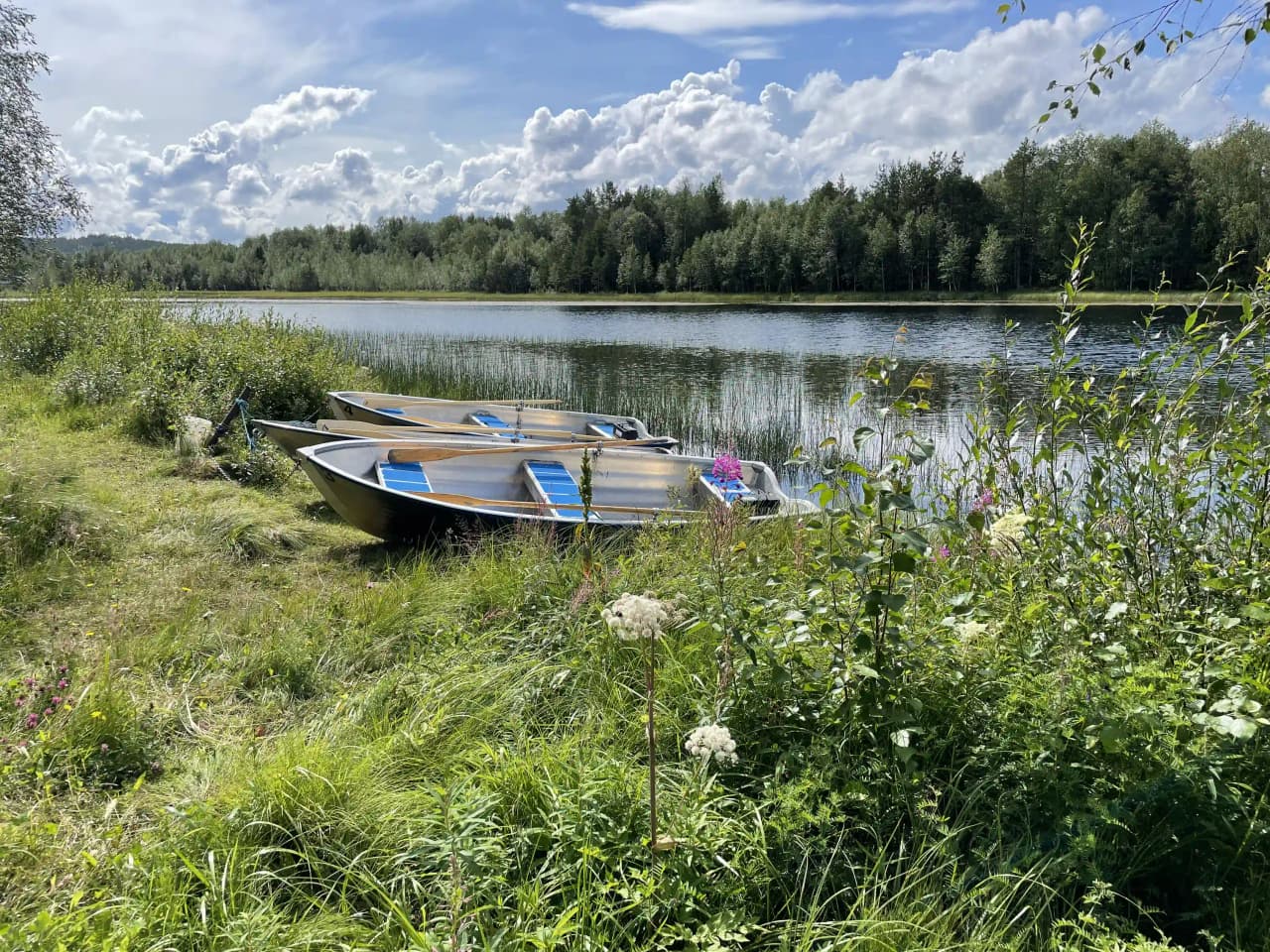En båt vid stranden av en grönskande våtmark i Sonfjällscampen, med speglingar i det stilla vattnet en sommardag.