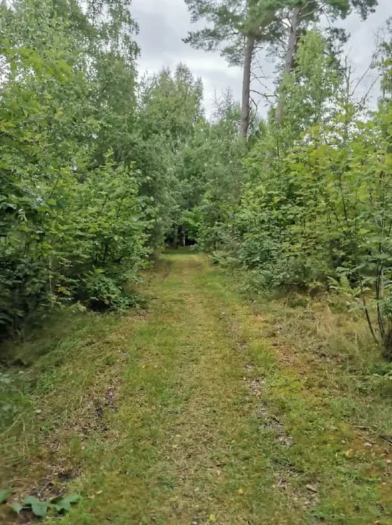 Upptäck Hjälmaresunds camping: En oas för avkoppling och äventyr mitt i naturens lugn, nära städer och vatten. Boka idag!