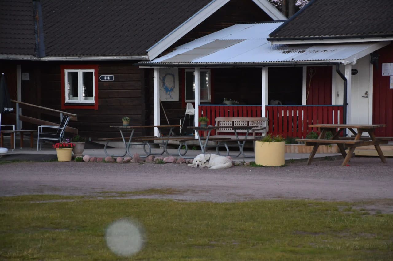 En utomhusbild från Våmåbadets camping visar ett område för rekreation och avkoppling. Det finns ett picknickbord och stolar under skuggande träd, vilket skapar en inbjudande plats för besökare att njuta av fritidsaktiviteter.