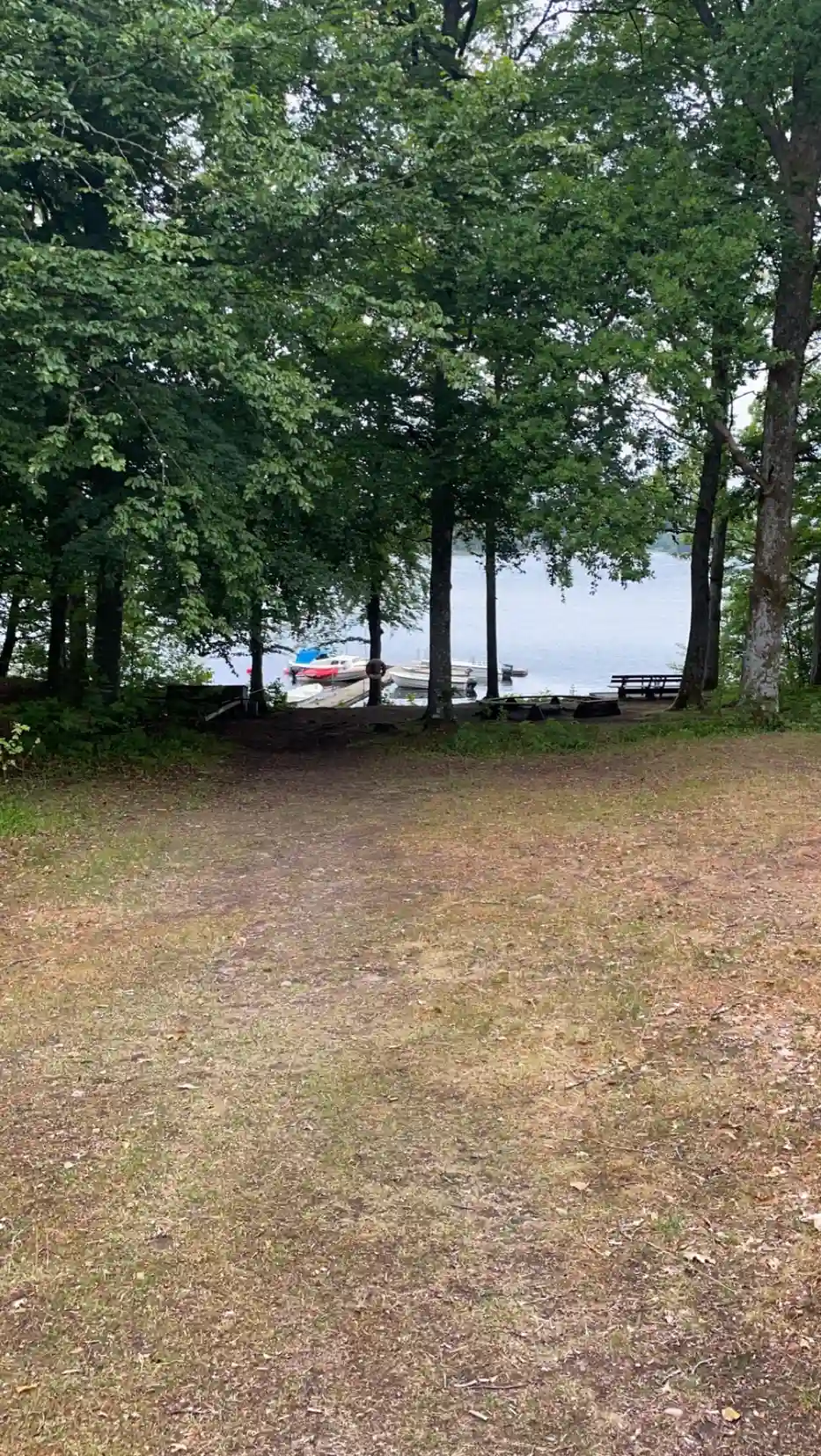 En grön, skuggig campingplats med en utomhusbänk på en gräsmatta.