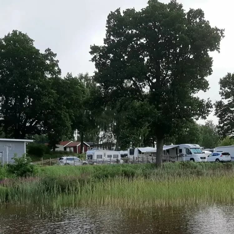 En husvagn är parkerad vid en pittoresk våtmark på Vallsnäs camping. I förgrunden syns området med grönska och en damm, vilket skapar en avkopplande och naturskön miljö för besökare.