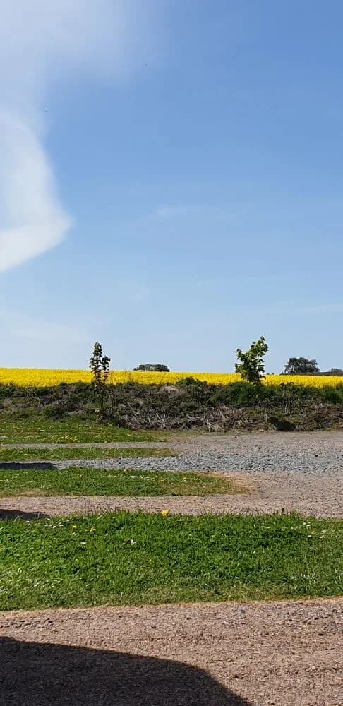 Njut av lyx och natur på Lögnäs Gård: Upplev campingkomfort bland pittoresk svensk landsbygd med spa och aktiviteter.