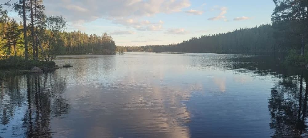 En vacker vy över Pankoviken i Kloten där klart blått vatten omges av grönskande natur och frodig landskap.