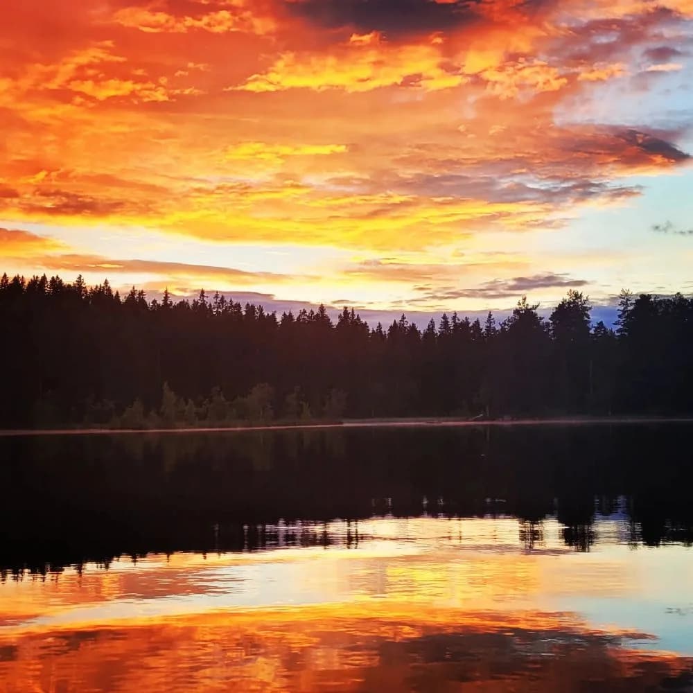 Äventyr och ro vid Pankoviken – naturens lekplats med klättring, paddling och vandring i hjärtat av Skandinavien. Boka nu!