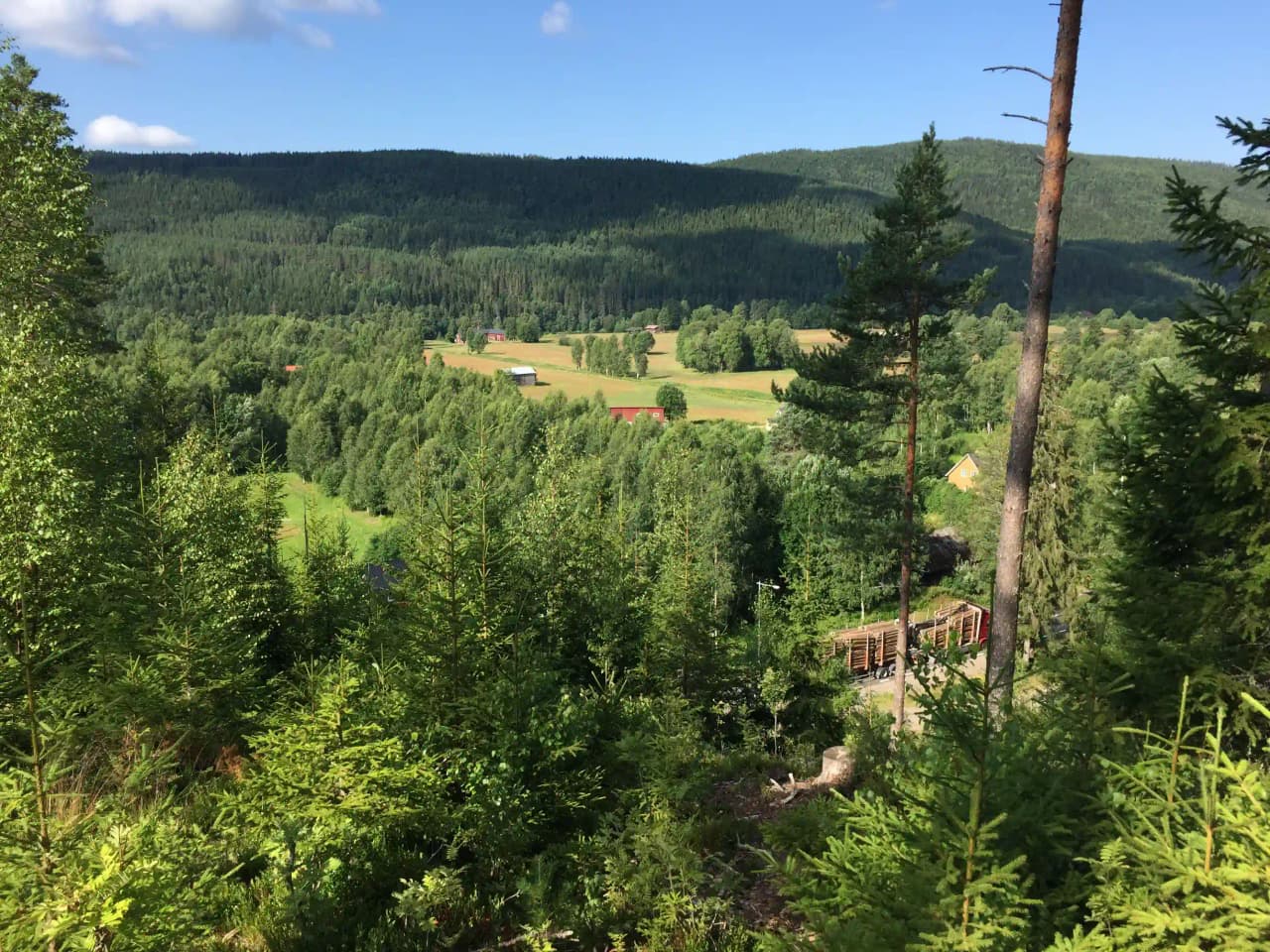 Upptäck naturens magi vid Klarälven: Björkebo Camping erbjuder äventyr och avkoppling mitt i Värmlands storslagna landskap.