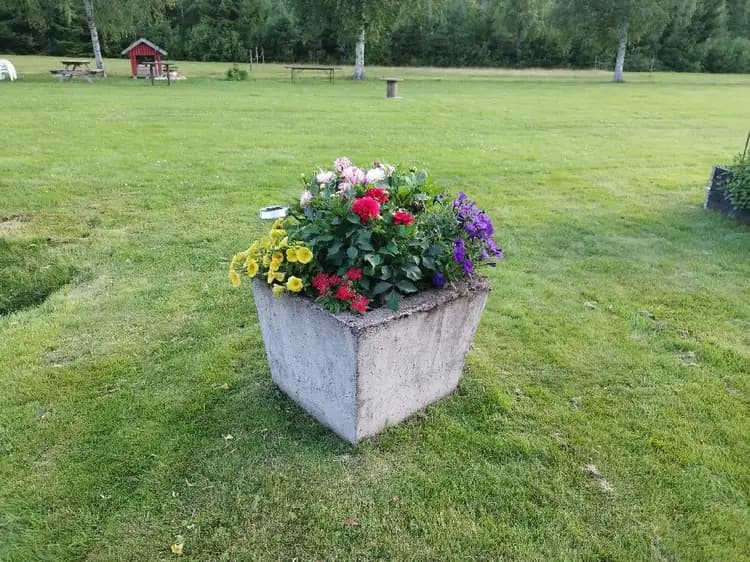 En blomstrande trädgård med färgglada blomsterarrangemang och gröna buskar, typiska för vårens inbjudande atmosfär på Svennevads camping.