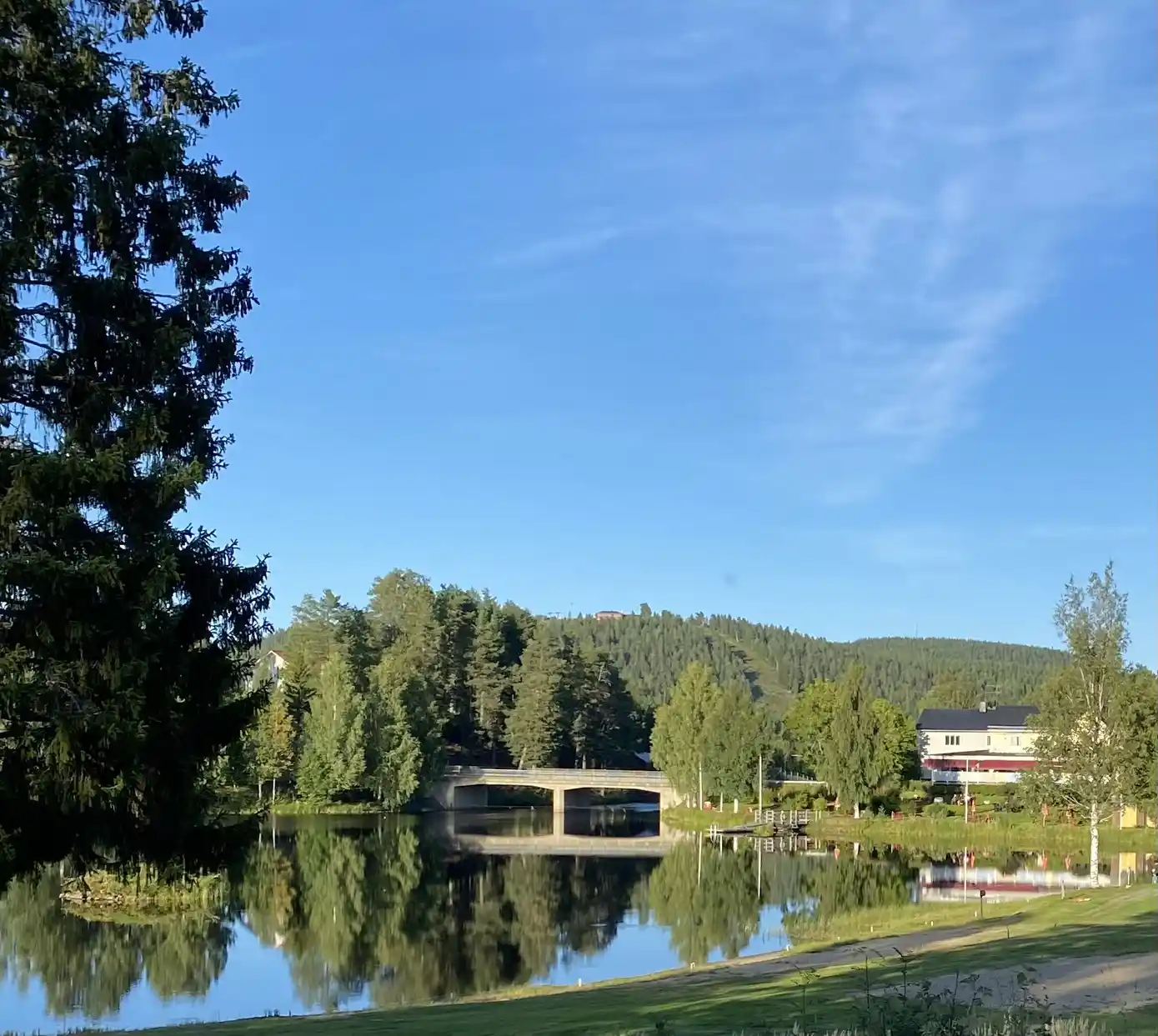 En naturskön vy över Bygdsiljums camping, med en spegelblank sjö omgiven av lummiga träd och en klar himmel i bakgrunden.