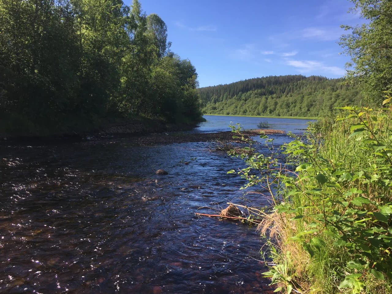En lugn flod rinner genom ett naturskönt landskap vid Värnäs camping, omgiven av frodig grönska och vackra stränder.