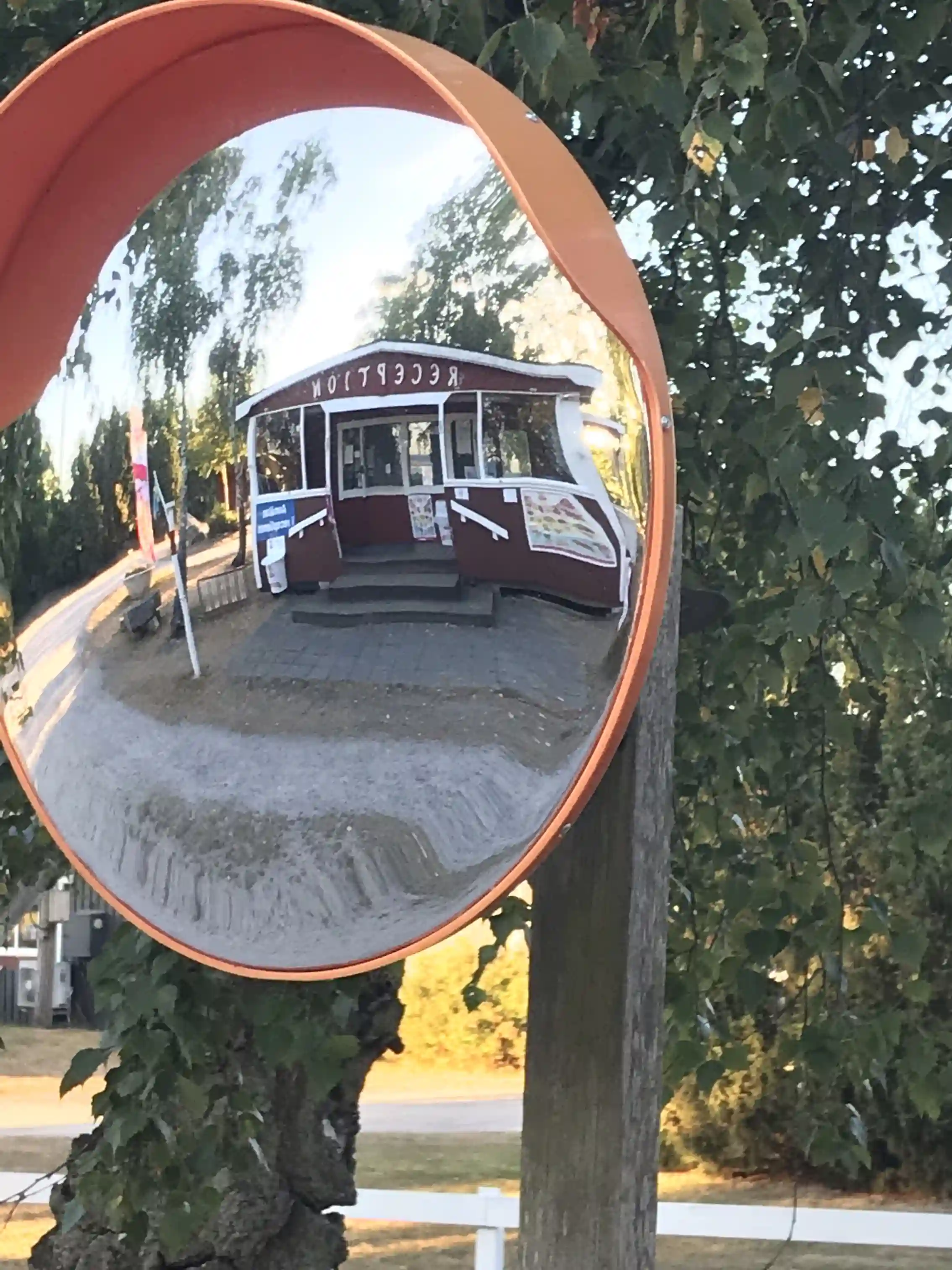 En lugn campingplats vid en sjö där vattnet fungerar som spegel och reflekterar de omgivande träden och himlen. Träden ger skugga över området, vilket skapar en inbjudande och fridfull atmosfär.