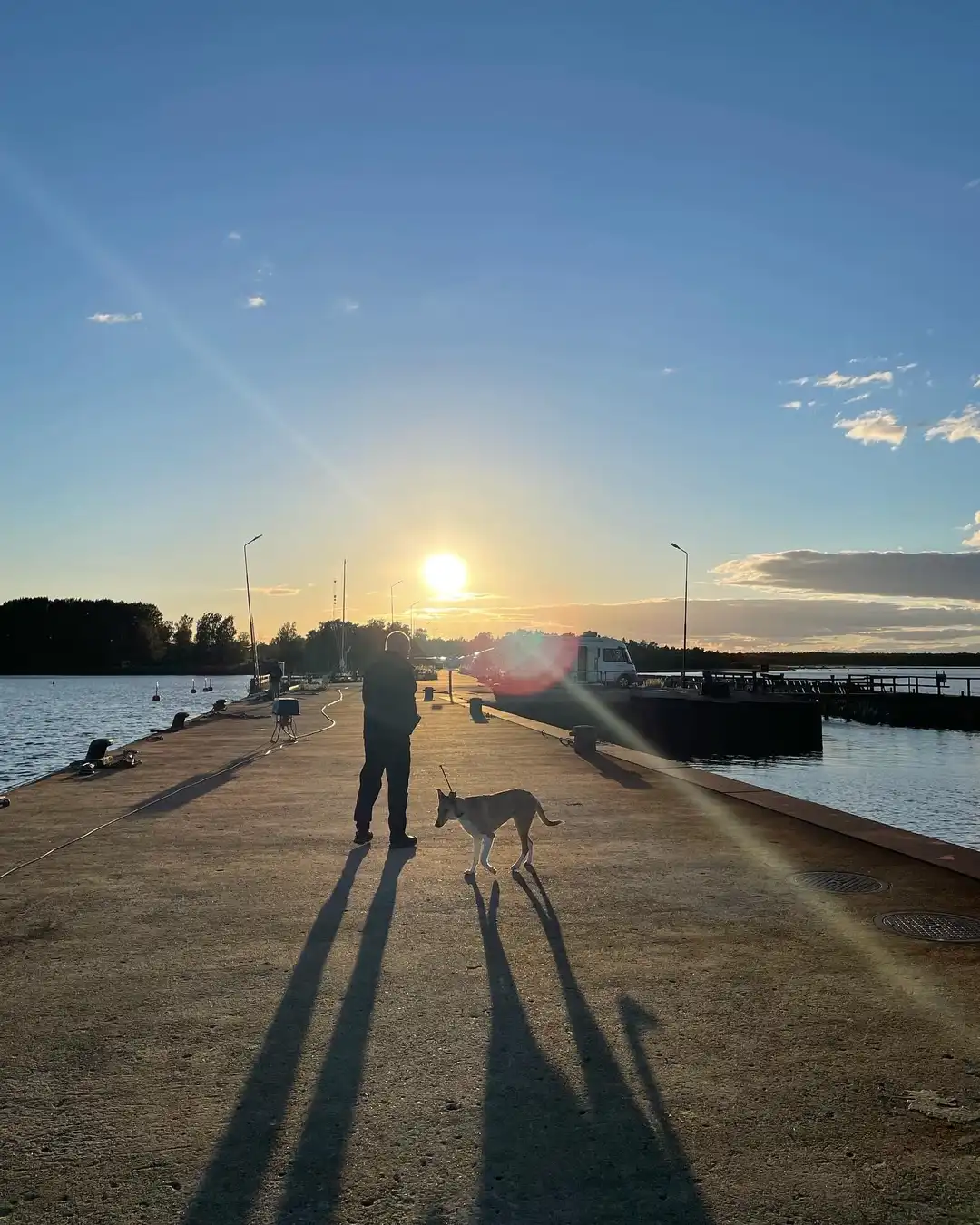 En hund sitter vid Böda Hamns camping med en färgglad solnedgång i bakgrunden. Havet syns i horisonten, vilket skapar en lugn och pittoresk kvällsstämning.