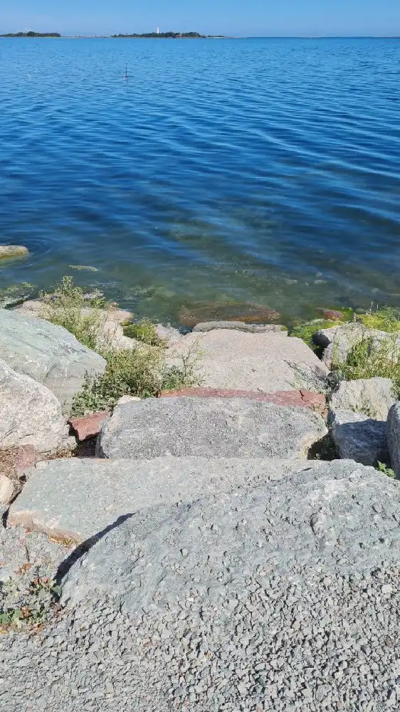 En solig dag vid Böda Hamns Camping med en klarblå himmel, gnistrande vatten och kustnära klippor längs horisonten.