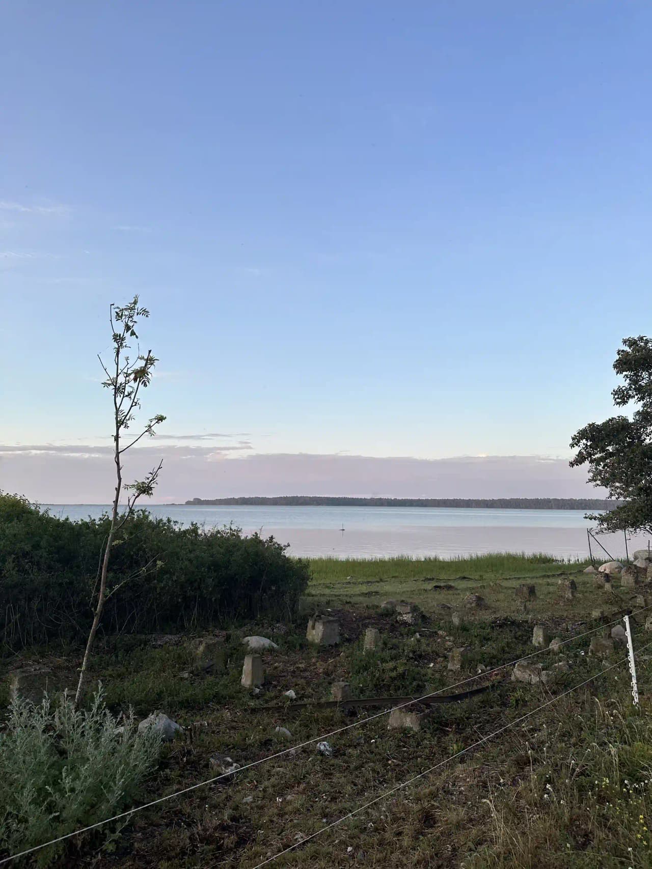 En vidsträckt kustlinje vid Böda hamns camping med klarblå himmel, horisontlinjen möter det lugna havet som skapar en fridfull atmosfär. Förgrund med låg växtlighet och sandig strandkant.