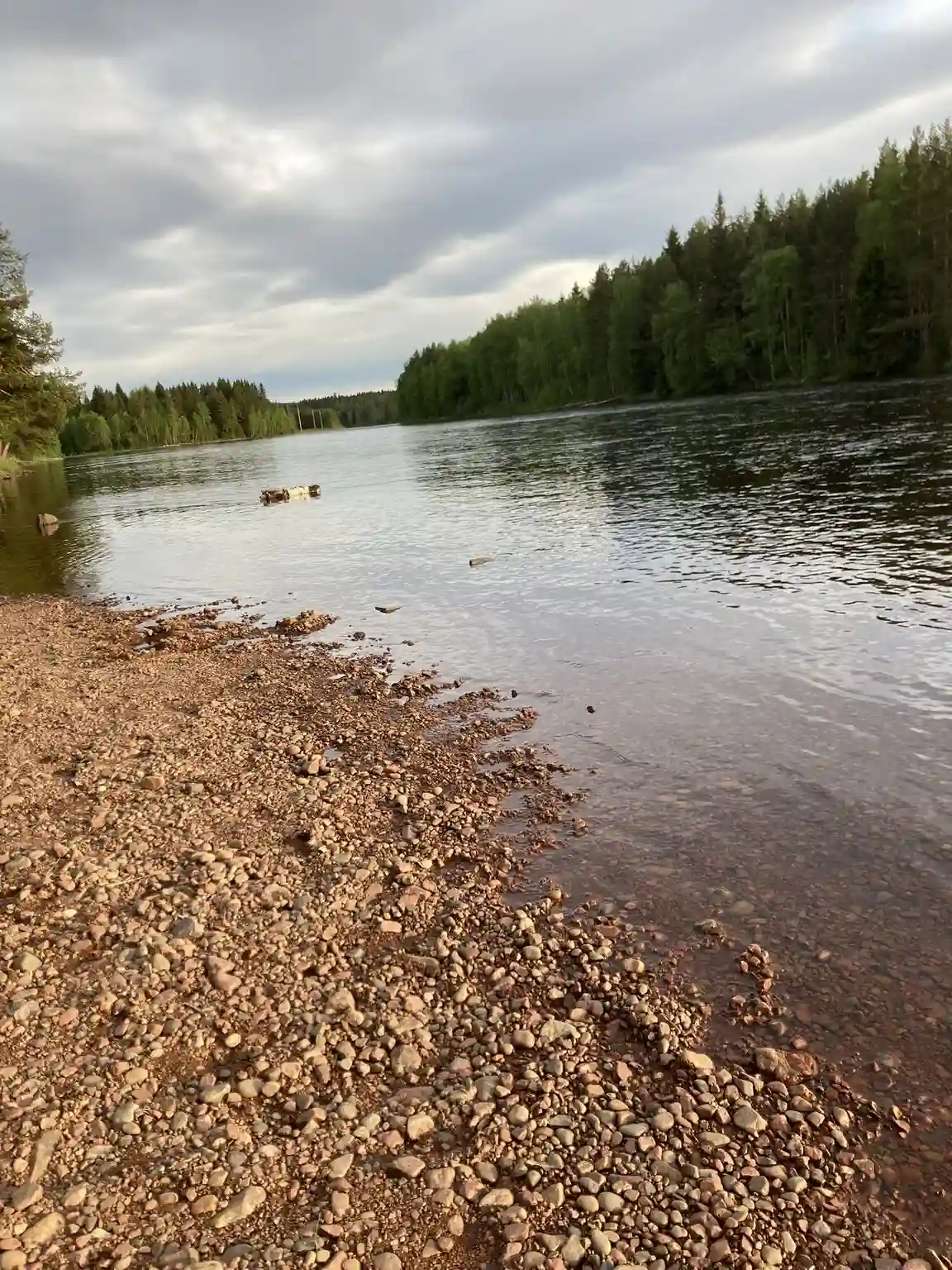 Upplev lugnet vid Älvdalens Camping – en idyllisk fristad vid Österdalälven för äventyr och avkoppling i natursköna Dalarna.