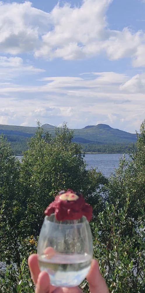 En naturskön sjö vid Fjällnäs camping med spegelblank yta som reflekterar omgivande berg och skog.