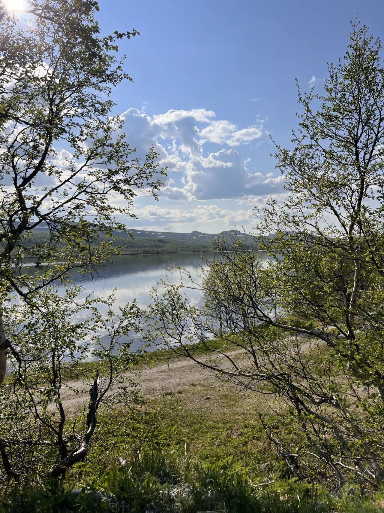 Bild av fjällnäs camping med en blå sjö omgiven av grönskande växtlighet och grenar. Naturlandskapet ger en fridfull och naturskön atmosfär.
