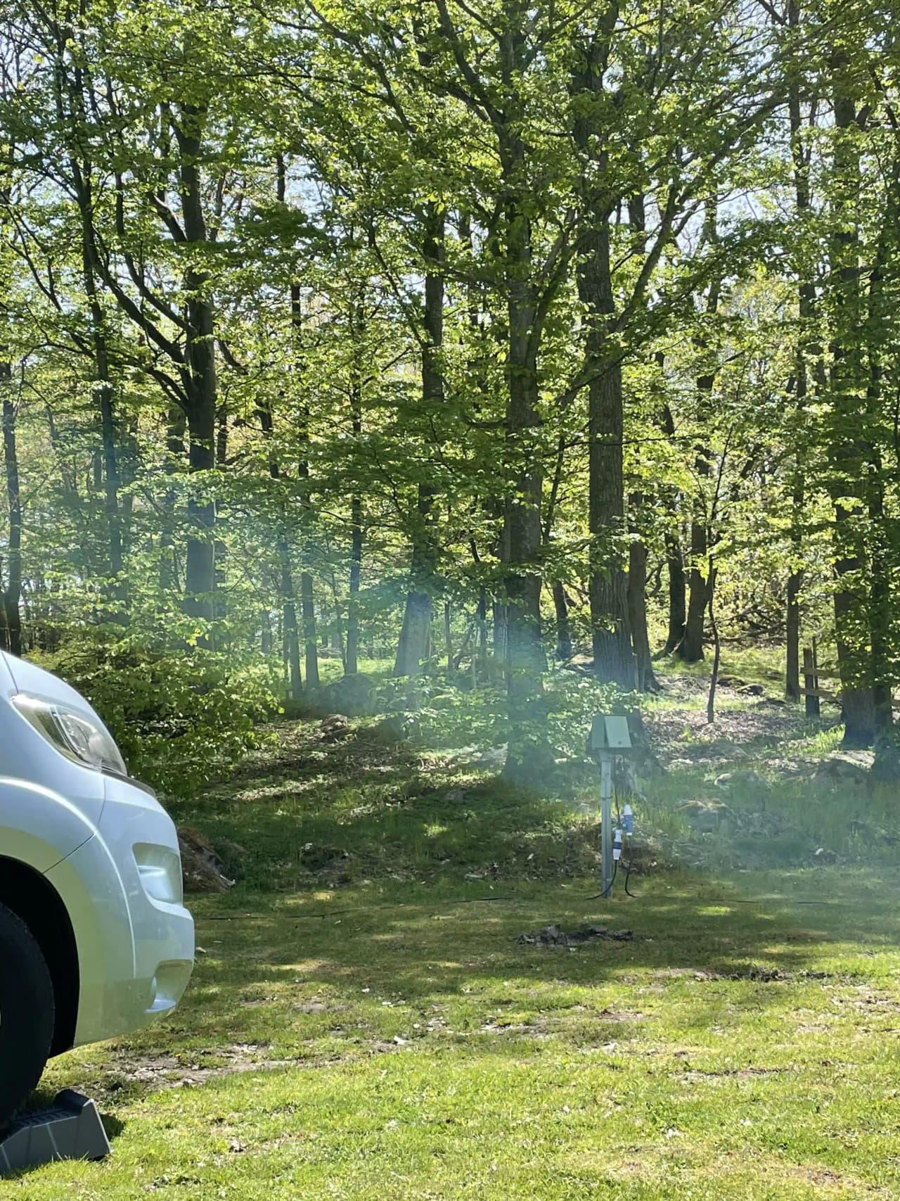 En bil parkerad nära en skogsdunge vid en grusväg på Järnaviks camping, omgiven av tät skogsvegetation.