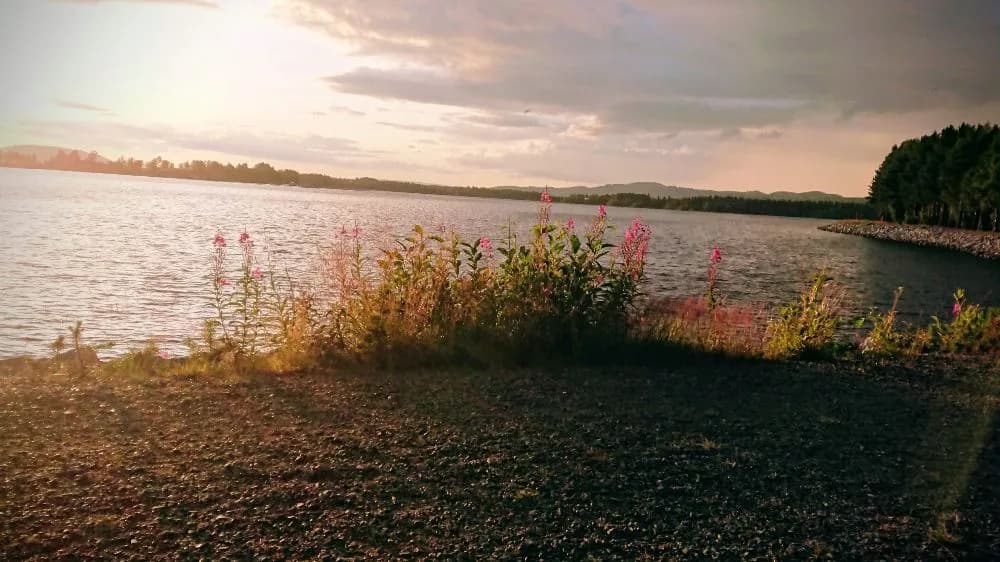 Upplev magin vid Storuman-sjön: Fridfull oas med norrsken, fiske, vandring och bekvämt boende. Njut av natur och äventyr!