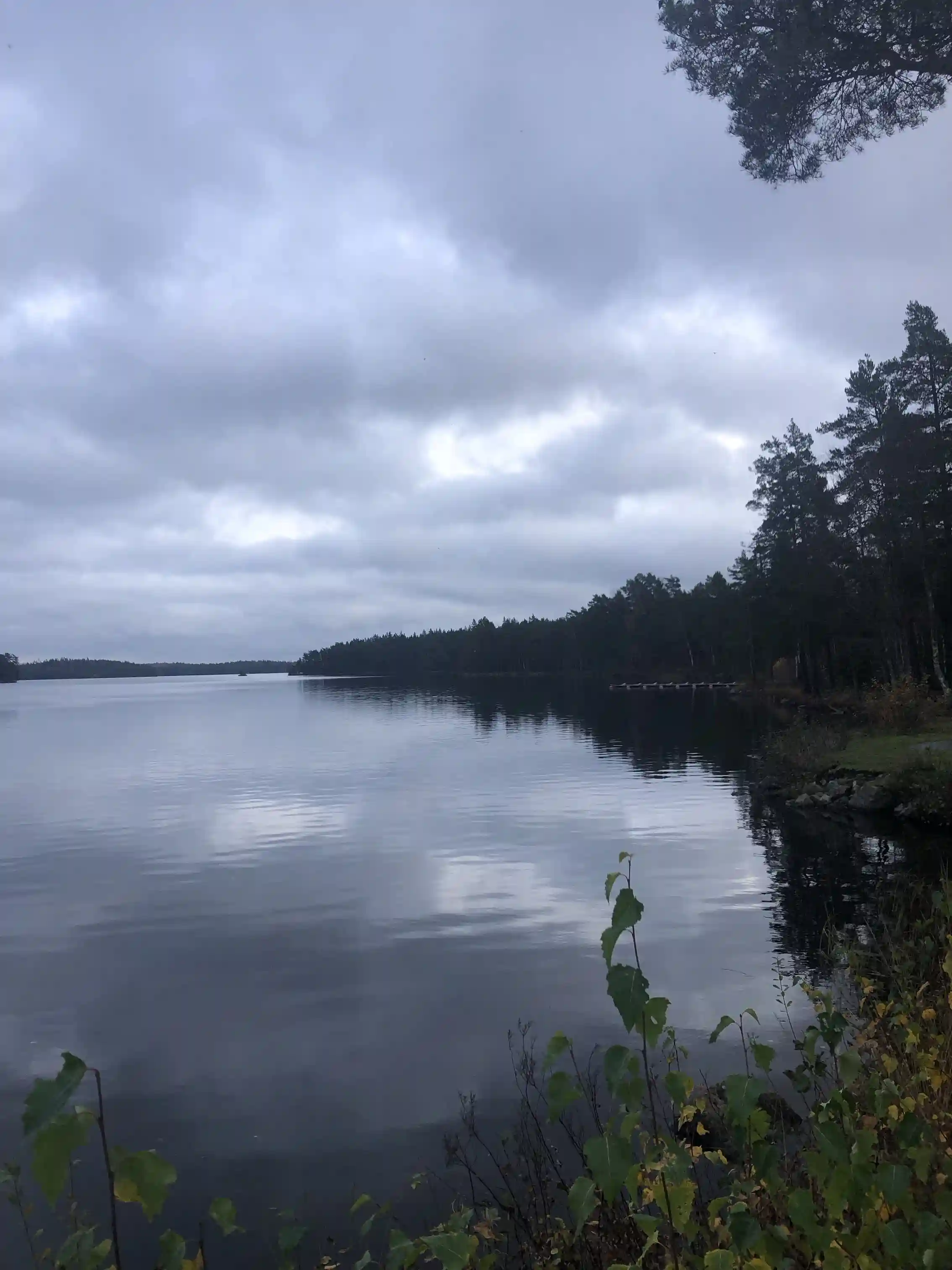 Upplev Smålands lugn på Uvaparken: natursköna äventyr och modern komfort vid Uvasjöns klara vatten. Boka enkelt online!