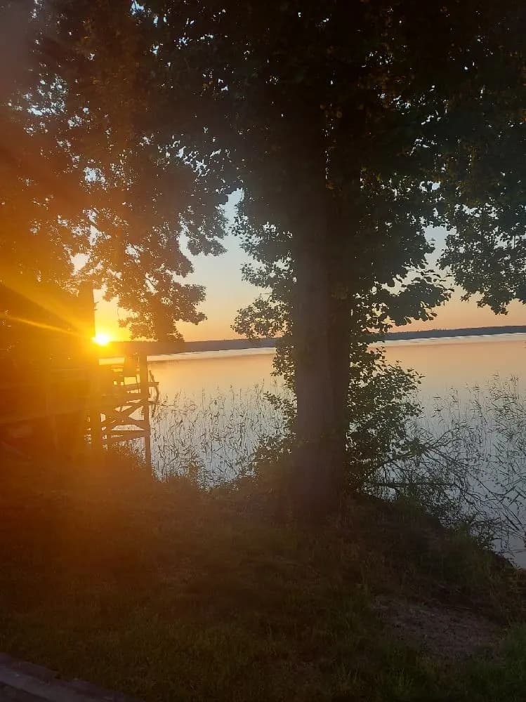 En vacker sommarkväll vid Horndals Bad & Camping med en solnedgång i horisonten, omgiven av natursköna landskap och frodiga grenar som skapar en fridfull atmosfär.
