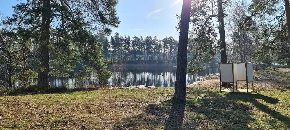 En grön och lummig skog med trädstammar och ett täcke av lövverk, en del av Joelskogens camping & ställplats.